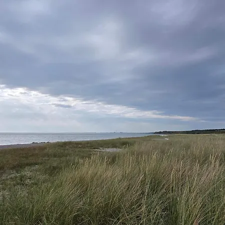 Tranquil Retreat - By Traum Casa vacanze