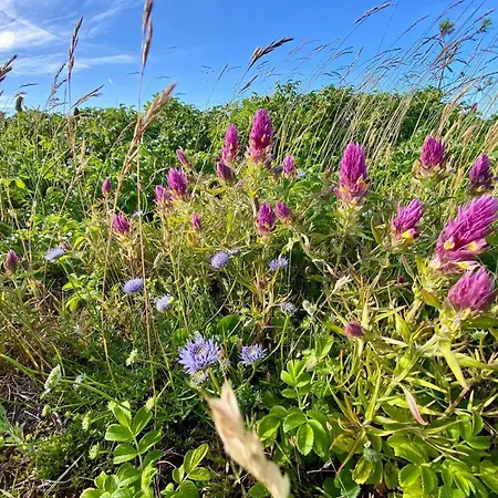 Tranquil Retreat - By Traum Casa vacanze *