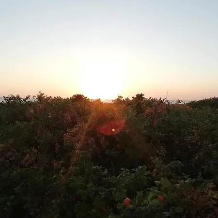 Casa vacanze Tranquil Retreat - By Traum *